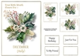 Birth Month Flower - December Holly