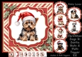 Christmas Dogs In Santa Hats 2 Multi Topper Kit