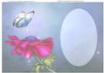 Magical Anemone & Butterfly - Insert