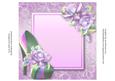 Insert for Fabulous Stripe Shoe & Vibrant Roses Lacey Square