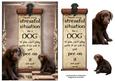 Handle Every Stressful Situation Like a Dog - chocolate Lab