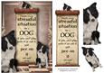 Handle Every Stressful Situation Like a Dog - border Collie