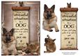Handle Every Stressful Situation Like a Dog - german Shepherd