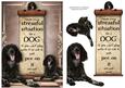 Handle Every Stressful Situation Like a Dog - munsterlander
