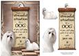 Handle Every Stressful Situation Like a Dog - maltese