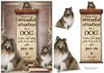 Handle Every Stressful Situation Like a Dog - collie