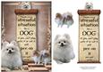 Handle Every Stressful Situation Like a Dog - pomeranian