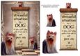 Handle Every Stressful Situation Like a Dog - yorkie