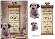 Handle Every Stressful Situation Like a Dog - dalmation