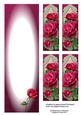 Celebration Roses Large Dl Insert