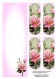 Pink Edwardian Roses Large Dl Insert