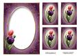 Pink & Purple Tulips Insert