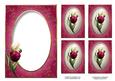 White & Magenta Tulips Insert