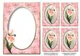 Pink Tulips Insert