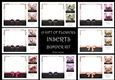 A Gift Of Flowers Inserts Bumper Kit