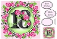 18 With Pretty Pink Roses 8x8