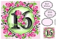 16 With Pretty Pink Roses 8x8