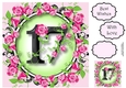 17 With Pretty Pink Roses 8x8
