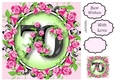 70 With Pretty Pink Roses 8x8