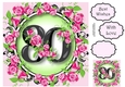 80 With Pretty Pink Roses 8x8
