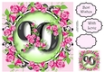 90 With Pretty Pink Roses 8x8