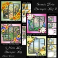 Scenic Trio Bumper Kit 2