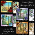 Scenic Trio Bumper Kit 4