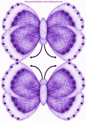 Purple Butterfly Shaped Card