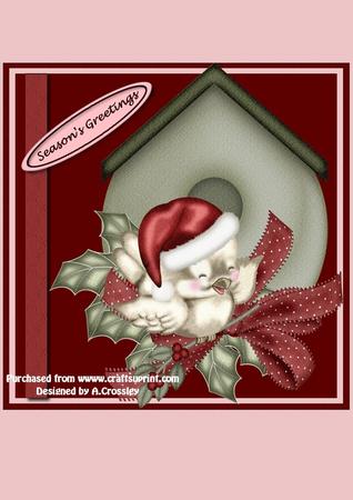 8x8" Christmas Bird Step by Step Kit (reds)