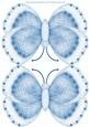 Blue Butterfly Shaped Card