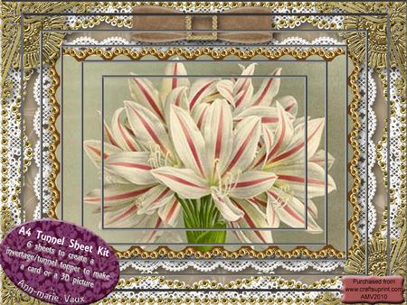 Amarylis Lace Tunnel Card Topper A4 Kit