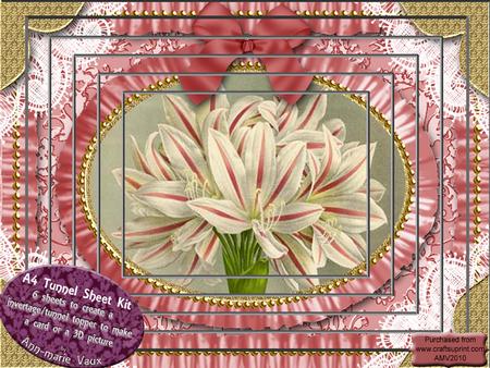 Amarylis Pink Ruffles Tunnel Kit