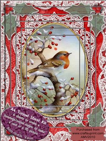 Christmas Robin Lace Card Topper A4 Tunnel Kit