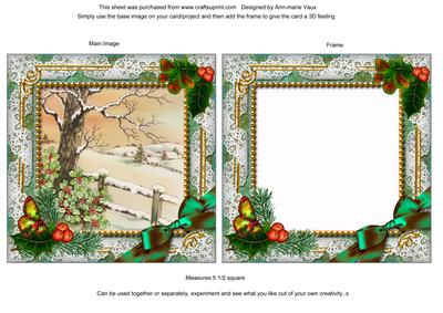 Winter Tale Holly Ornate Square Card Front and Frame
