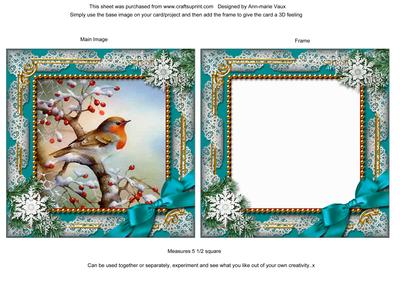 Robin 1 Snow Ornate Square Card Front and Frame