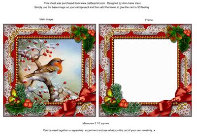Robin 1 Holly Ornate Square Card Front and Frame