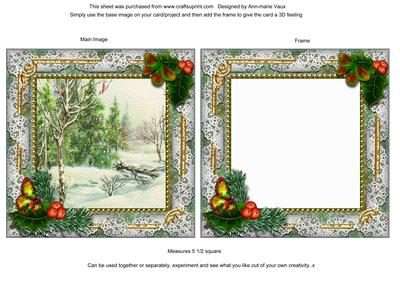 Winter Countryside Holly Ornate Square Card Front and Frame