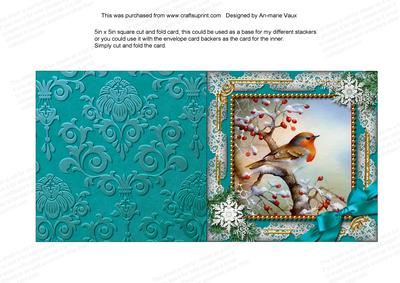 Robin 1 Snow 5in Square Folded Picture Card