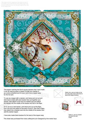 Robin 1 Snow 5inch Square Picture Envelope Backer