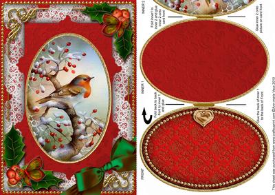Robin 1 Holly Christmas A5 Locket Card Front