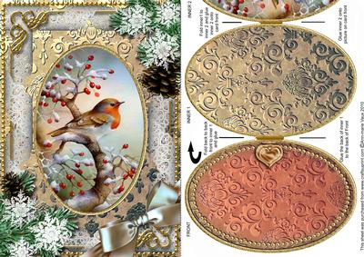 Christmas Robin 1 Snow A5 Locket Card Front