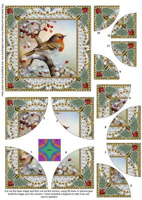Robin 1 Lace All 4 Rounded Corner Card Front