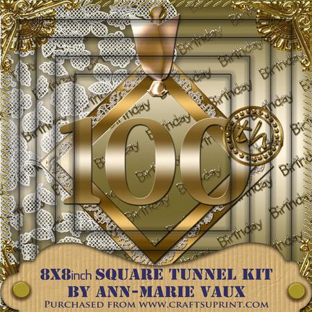 Gold 100th Birthday 8inch Square Tunnel Kit