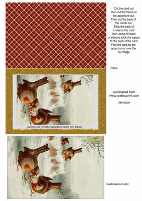 Bobby Robin Christmas Gold Frame Aperture Card