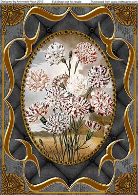 Black Carnations Fancy Bracket A4 Picture Sheet