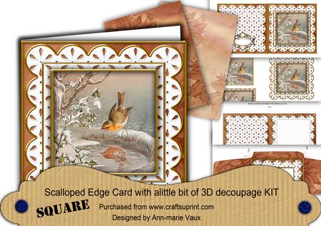 Frosty Robin Em Anglaise Scallop Square 3D Card Kit