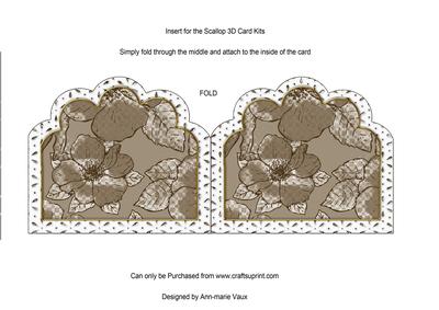 Bride and Groom Natural 1 Anglaise Matching Card Insert