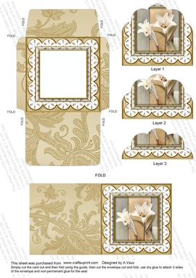 Lily Duo Lace 3in Mini Card Envelope Scallop Aio