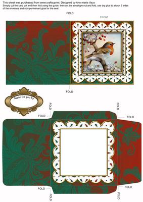 Robin 1 Anglaise Midi Card and Envelope