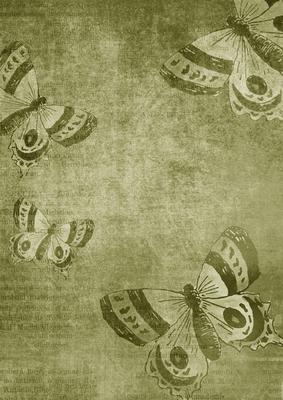 Vintage Tea Smokey Butterfly A4 Backing Paper
